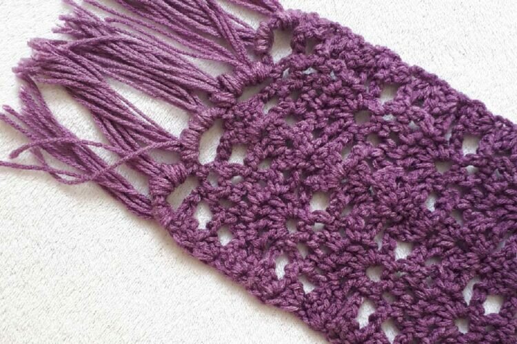 Sweet Berry Crochet Scarf